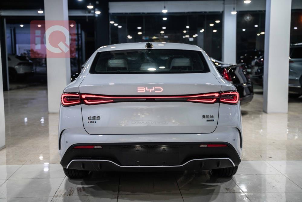 بي واي دي سيليون 06 DM-i